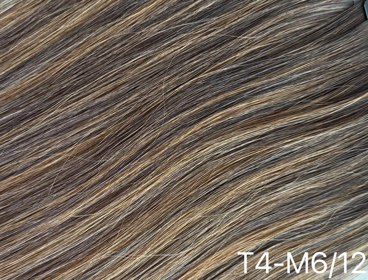 T4-M6/12