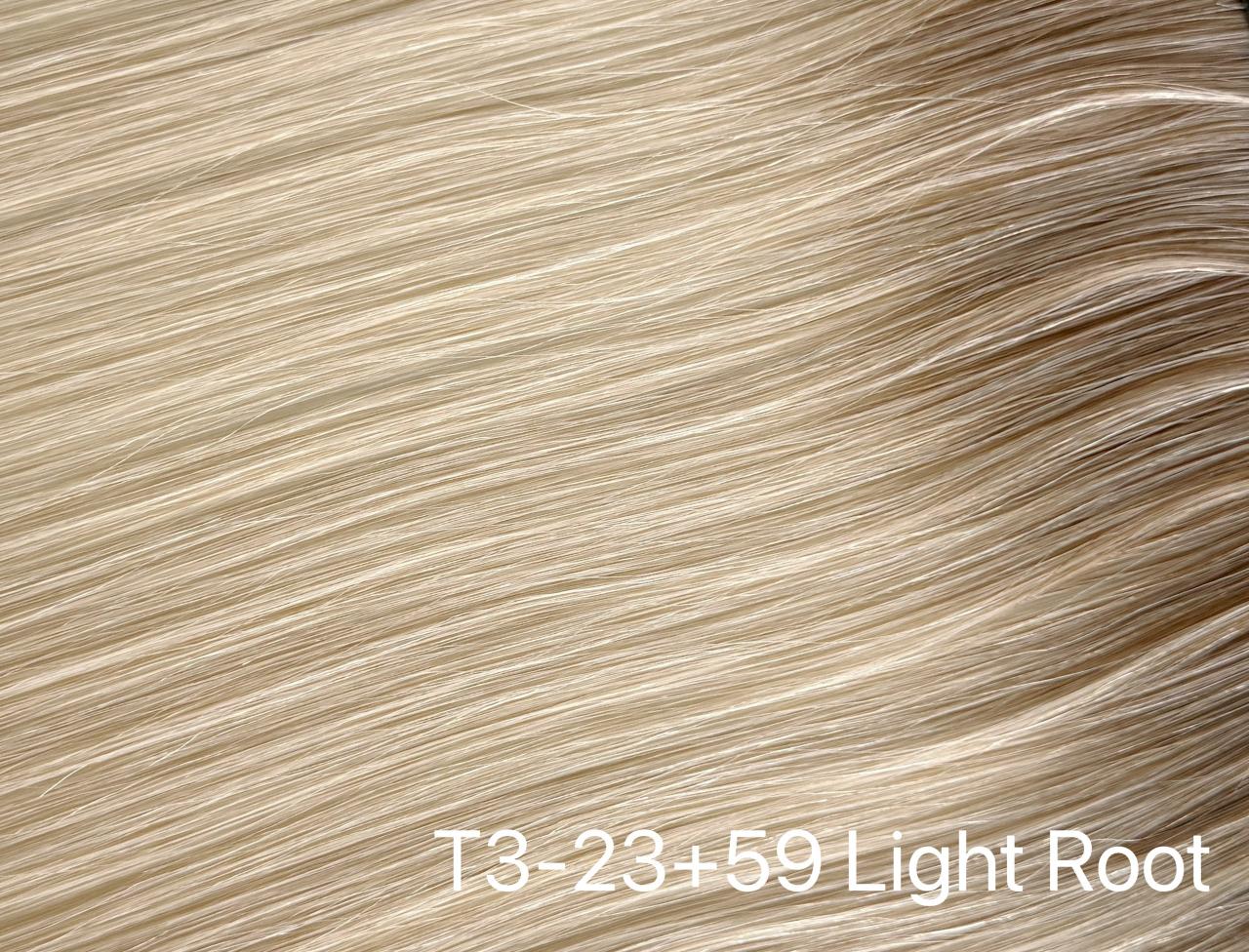 T3- 23+59 Light Root
